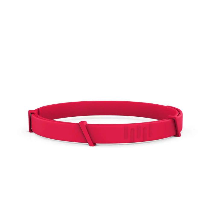 FurLife™ - 8 Months All Natural Flea and Tick Collar for Cats